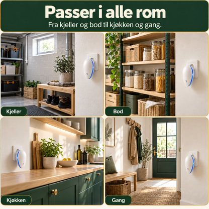 Skadedyrhelt – Musevern for Hvert Rom